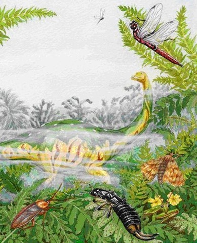 Aparición de las primeras plantas con flores