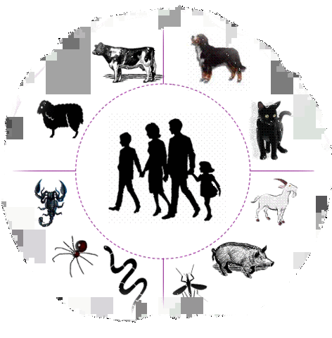 La OMS define el término zoonosis