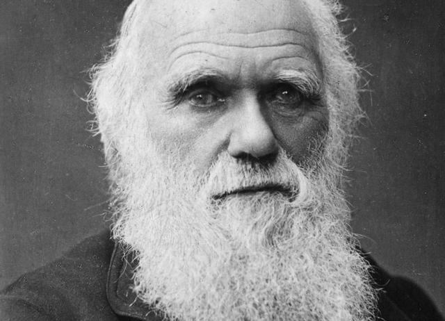 charles darwin 1809 a  1882