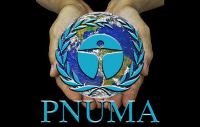 PNUMA