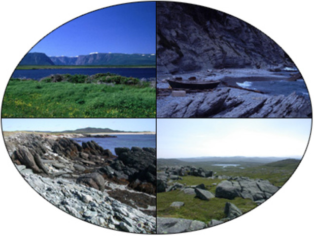 7th Grade Earth Science