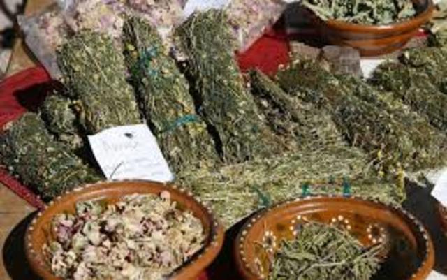 HERBOLARIA MEXICANA