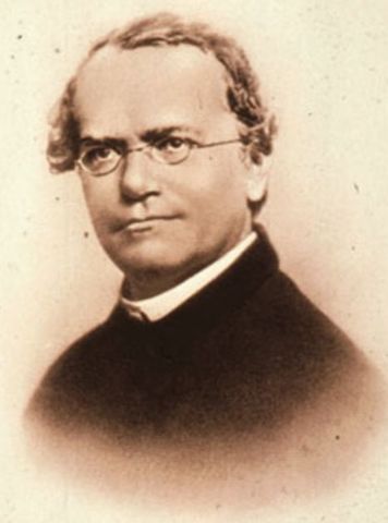 Teoría de Gregor Mendel