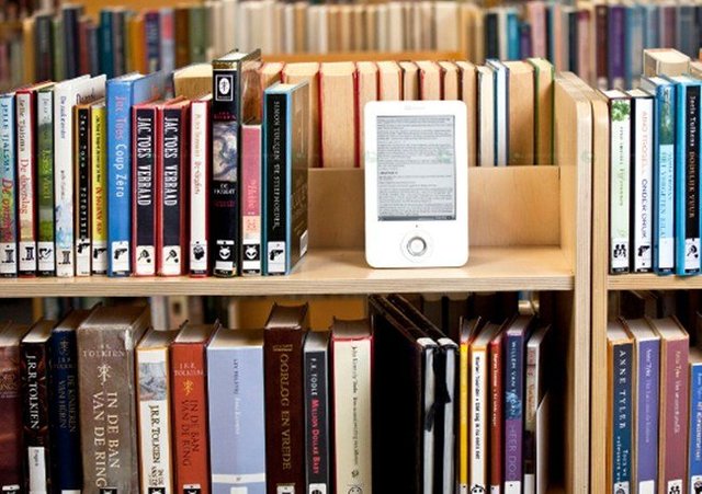 El profesional en las Bibliotecas Virtuales