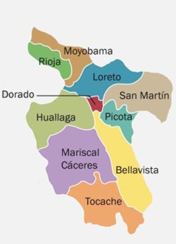 The integration of Tarapoto to the department