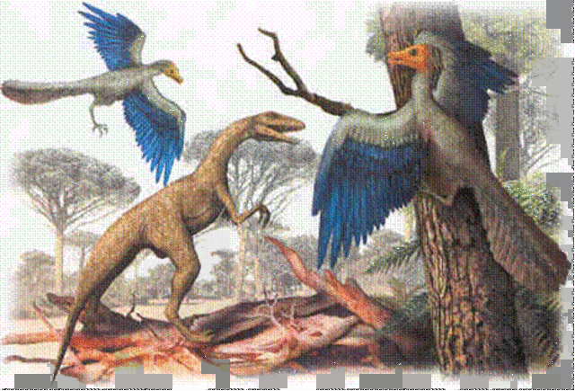 Aparición de las aves