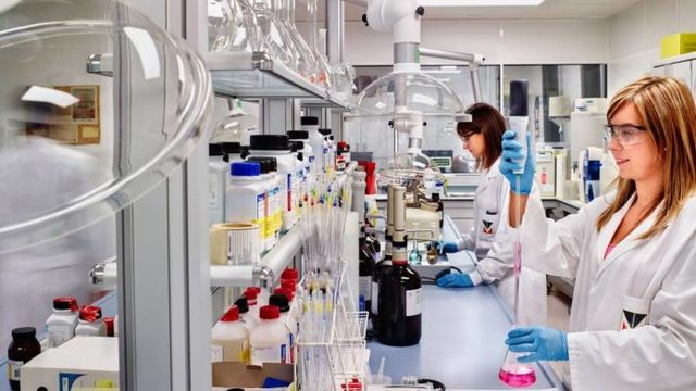 Introducción del Conocimiento