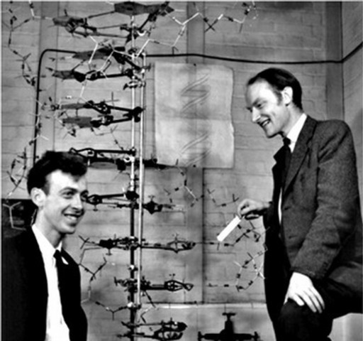 Watson y Crick