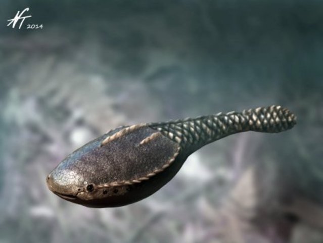 Aparición de los primeros vertebrados