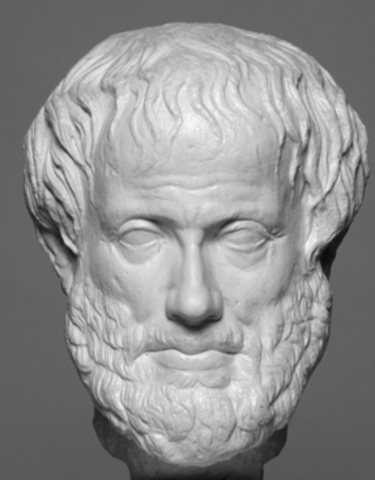 Aristóteles ( 384 a.C - 322 a.C.)