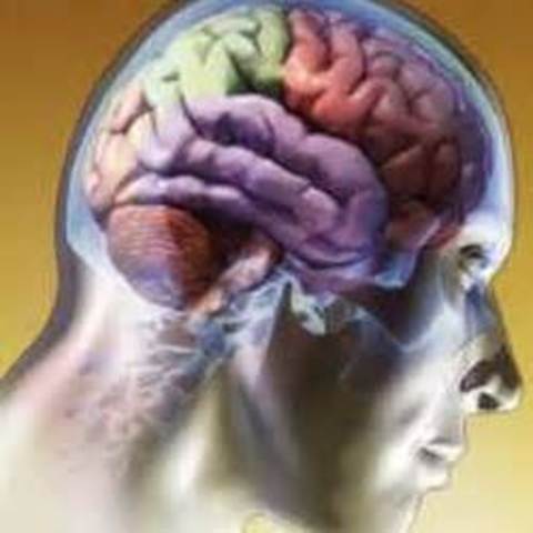 DE LOS AÑOS SESENTA A LOS AÑOS OCHENTA