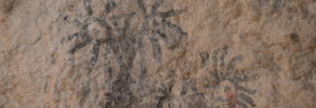 pintura rupestre encontrada en mula