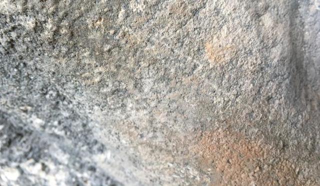 pintura rupestre encontrada en Catalunya