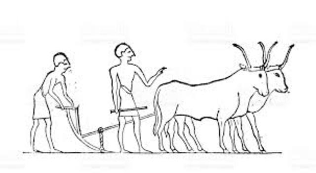 Arado de madera (agricultura).