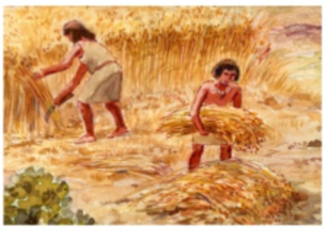 Ganaderos y agricultores