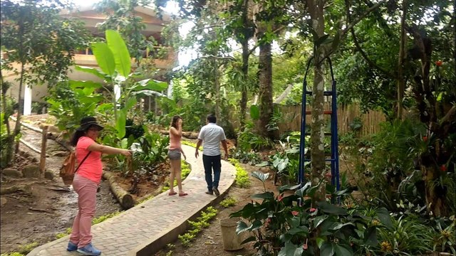 Second day in Tarapoto