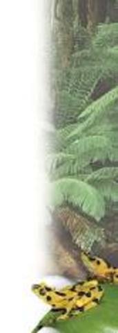 Primera Comunicación Nacional ante CMNUCC