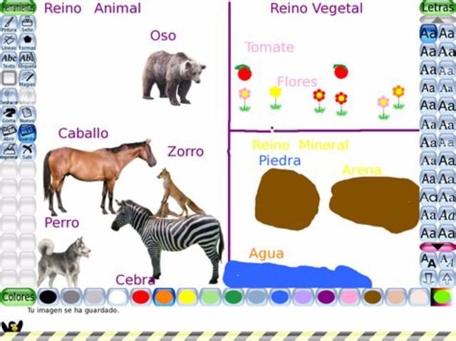 1735 Carolus Linneaeus un ssitema de dos reinos: plantas y animales