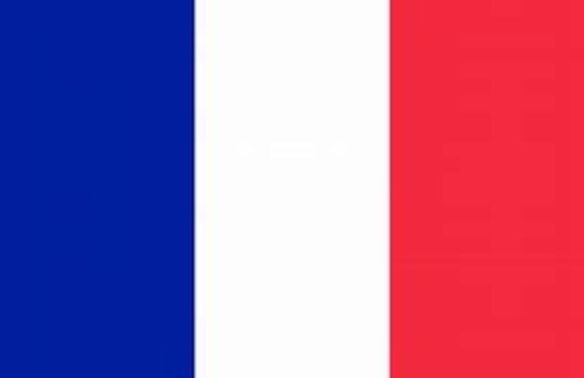 LEY DE BALANCES SOCIALES EN FRANCIA