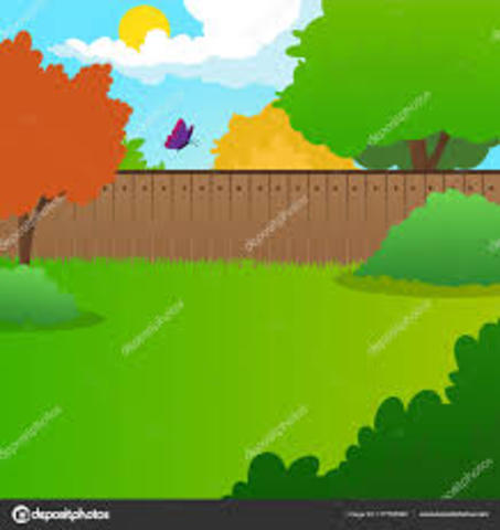 El experimento final