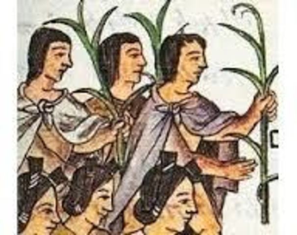 Organización Agraria de los Mayas