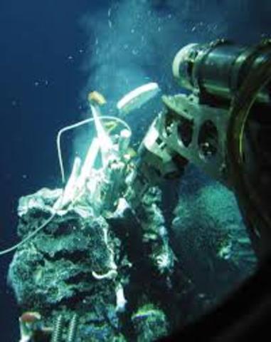 Jannasch HW y Mottl MJ