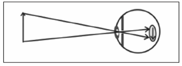 ALHAZEN (Teoría de la visión)