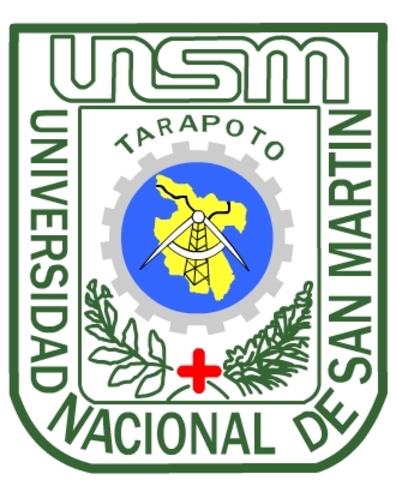 Creation of the National University San Martín