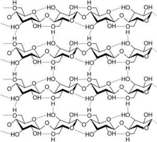 Se descubre un nuevo polisacárido parecido al almidón.