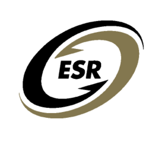 Promoción de la Responsabilidad Social