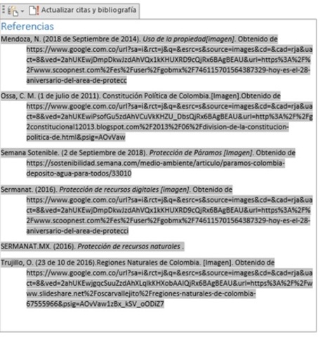 Referencias Bilbiografía