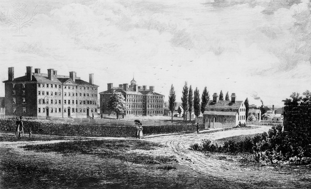 Spirits: Education System Develops