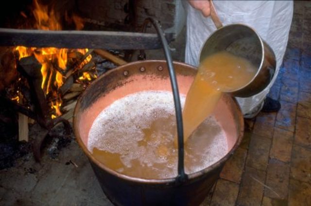 Procesos de Fermentación