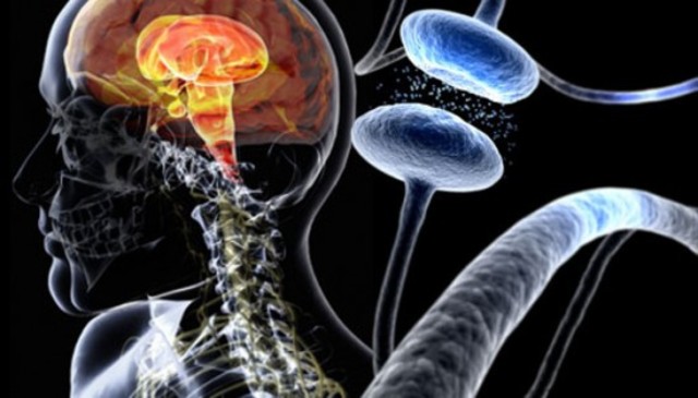 correlacion de las enfermedades