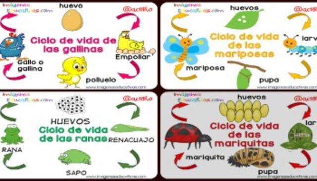 reproducen de forma sexual