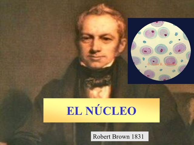 "El Nucleo"