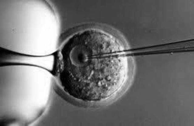 se clona el gen de la insulina humana