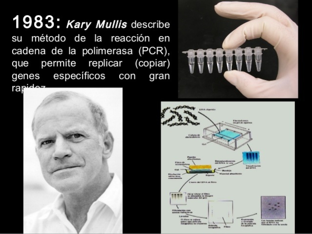 primeras plantas transgenicas