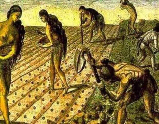 Creación de la agricultura