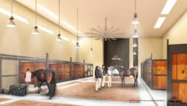 Veterinaria en Nueva York