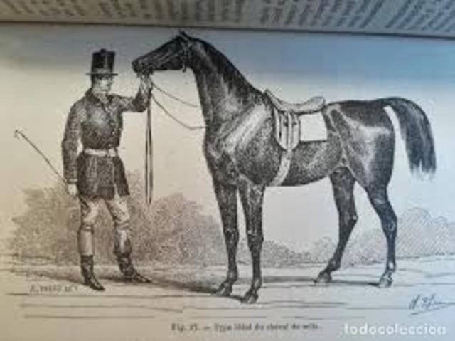 Ing. Alberto San Vicente Grenfel