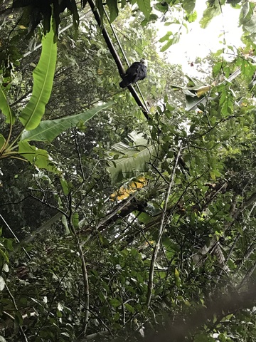 National reserv Urku