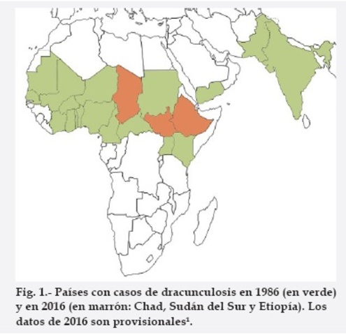 Establecimiento de la Comisión Internacional para la Certificación de la Erradicación de la Dracunculosis.