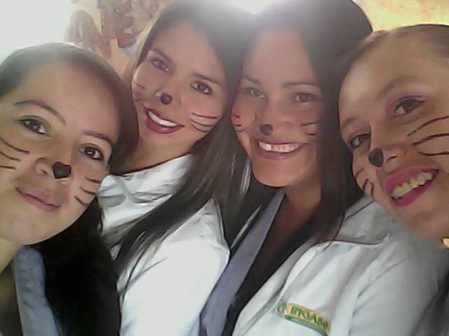 TECNICO EN PEDAGOGIA INFANTIL