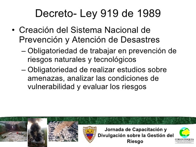 Decreto 919 de mayo 1989