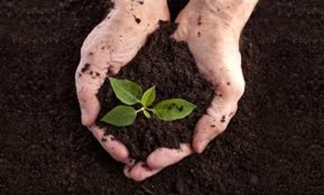 Regeneración de suelos