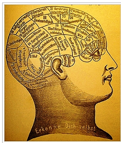 Frenología - Localización de la enfermedad mental
