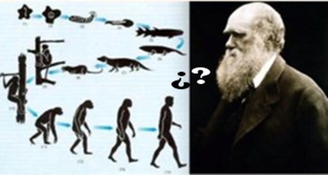 Teoría de la evolución