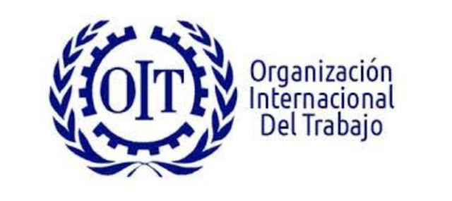 Organización internacional del trabajo (OIT)
