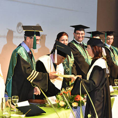 Obtener el título de Majister